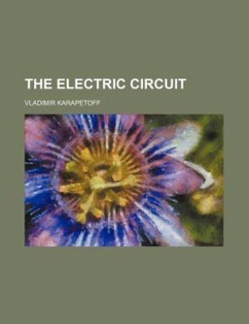 The electric circuit