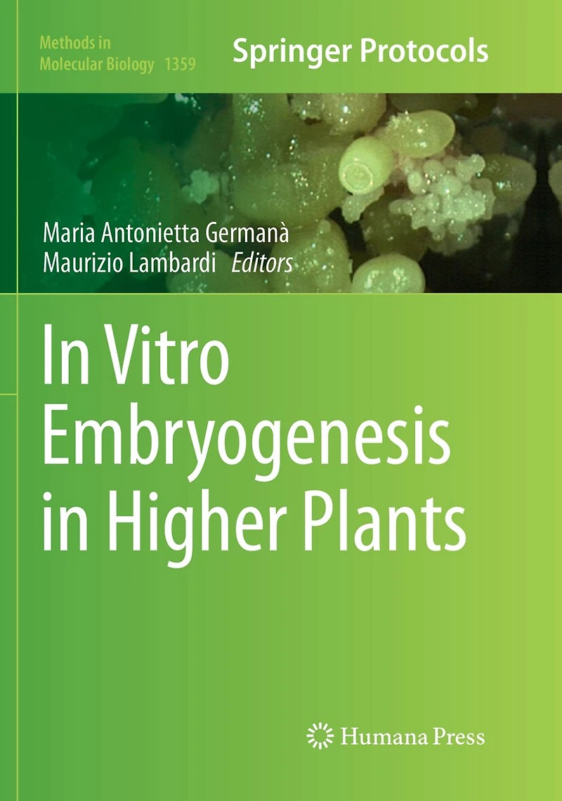 Vitro Embryogenesis Higher Plants