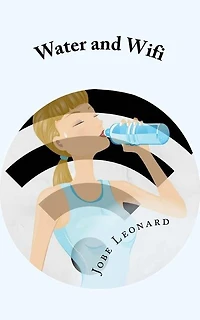 Water and Wifi: The Entrepreneurial Owner's Manual