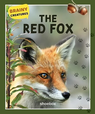 The Red Fox