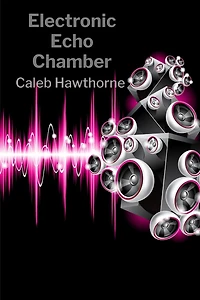 Electronic Echo Chamber: Brief Studies in Digital Consciousness Evolution