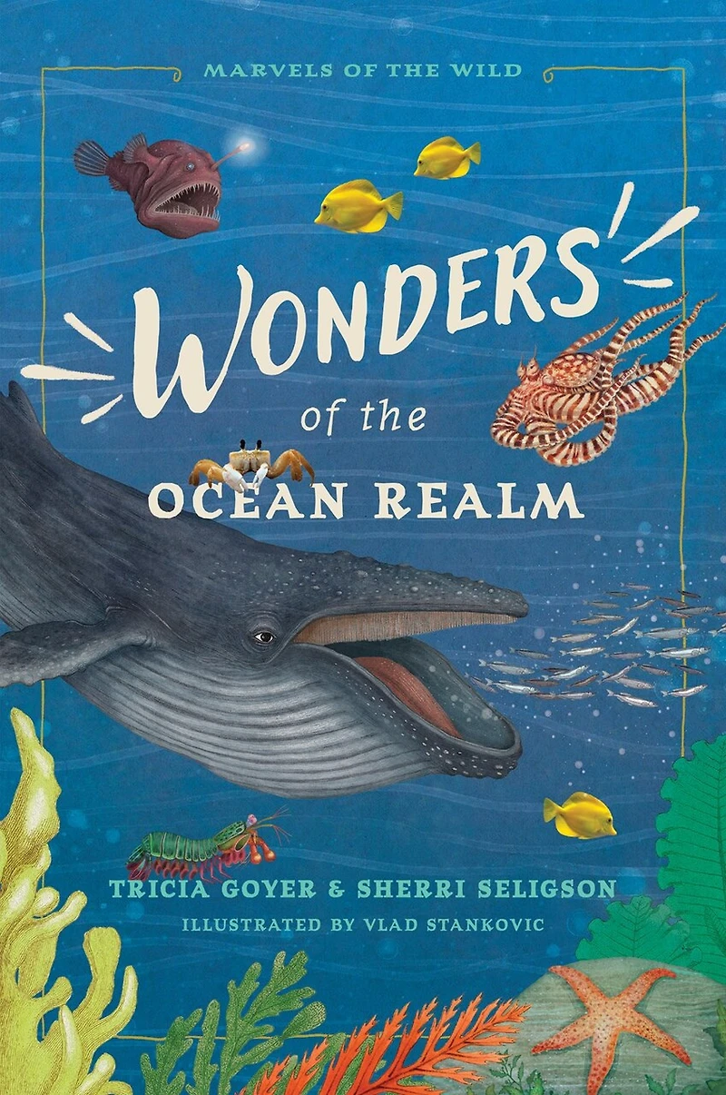 Wonders of the Ocean Realm: 5 Under-the-Sea Tales Faith and Science for Kids