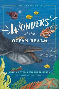 Wonders of the Ocean Realm: 5 Under-the-Sea Tales Faith and Science for Kids
