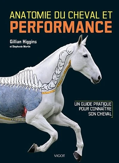 Anatomie du cheval et performance: un guide pratique pour connaître son cheval