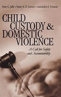Child Custody and Domestic Violence: A Call for Safety Accountability