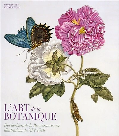 L' art de la botanique: des herbiers de la Renaissance aux illustrations du XIXe siècle