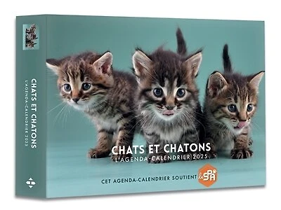 Chats et chatons: l'agenda-calendrier