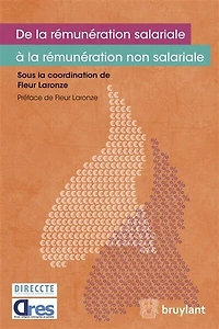 De la rémunération salariale à la rémunération non salariale