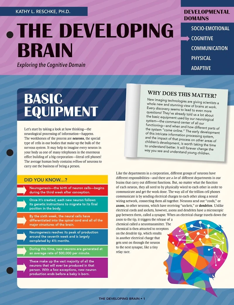 Developing Brain: Exploring the Cognitive Domain