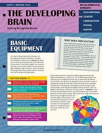 Developing Brain: Exploring the Cognitive Domain