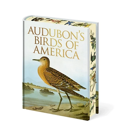 AUDUBONS BIRDS OF AMERICA
