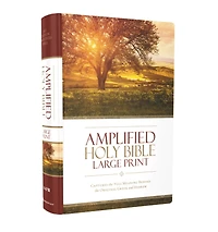 Amplified Holy Bible, Large Print, Leathersoft, Purple: Captures the Full Meaning Behind Original Greek and Hebrew