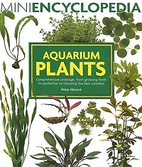 Aquarium Plants: Comprehensive Coverage, From Growing Them To Perfection To Choosing The Best Varieties.
