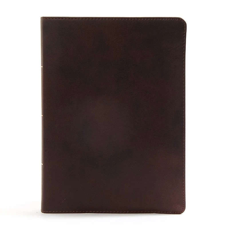 CSB Worldview Study Bible