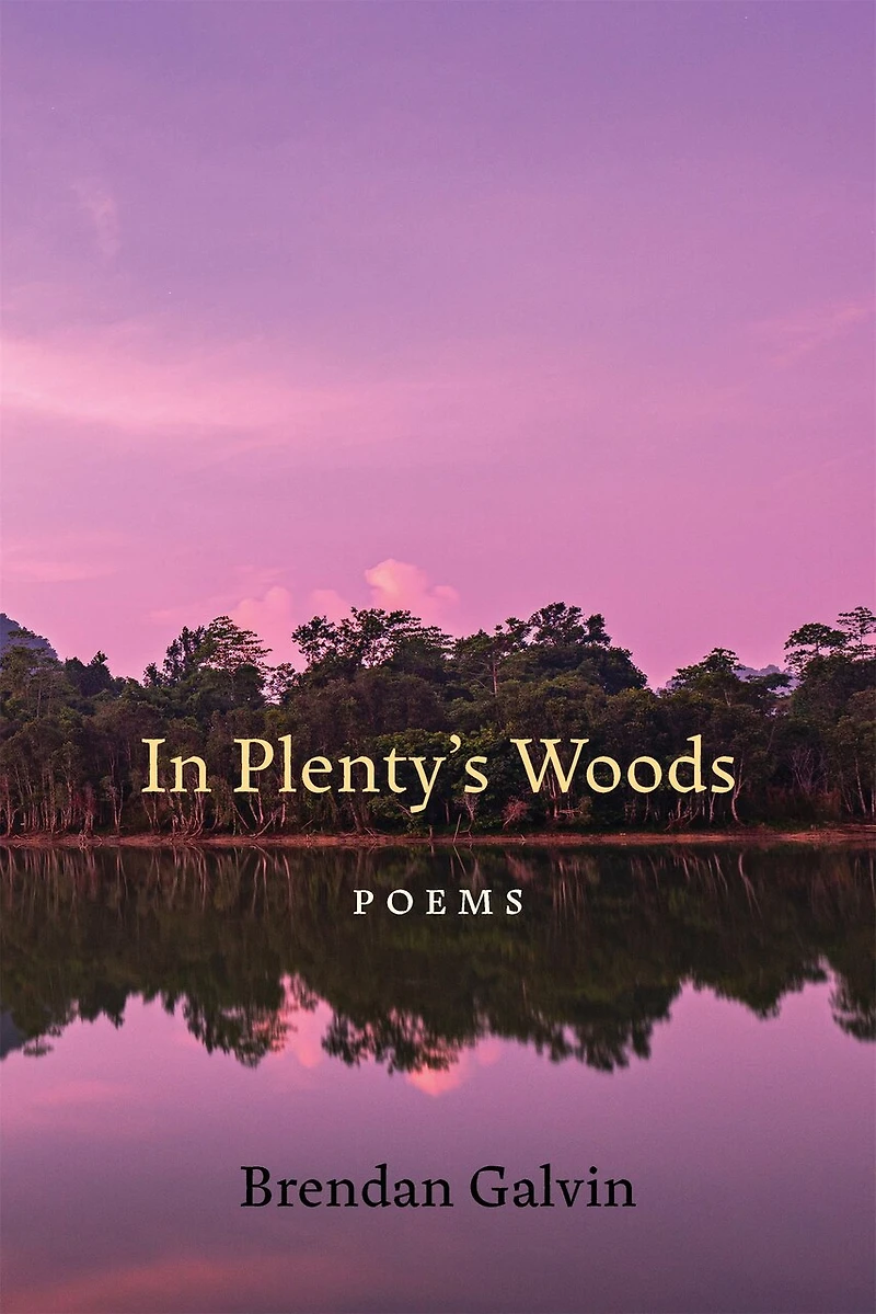 Plenty's Woods: Poems