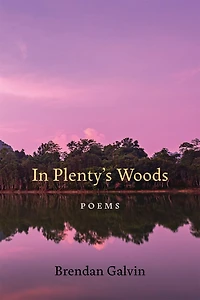 Plenty's Woods: Poems