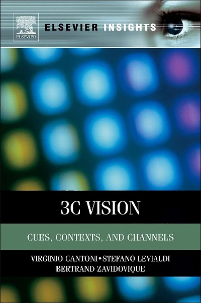 3C Vision: Cues, Context and Channels