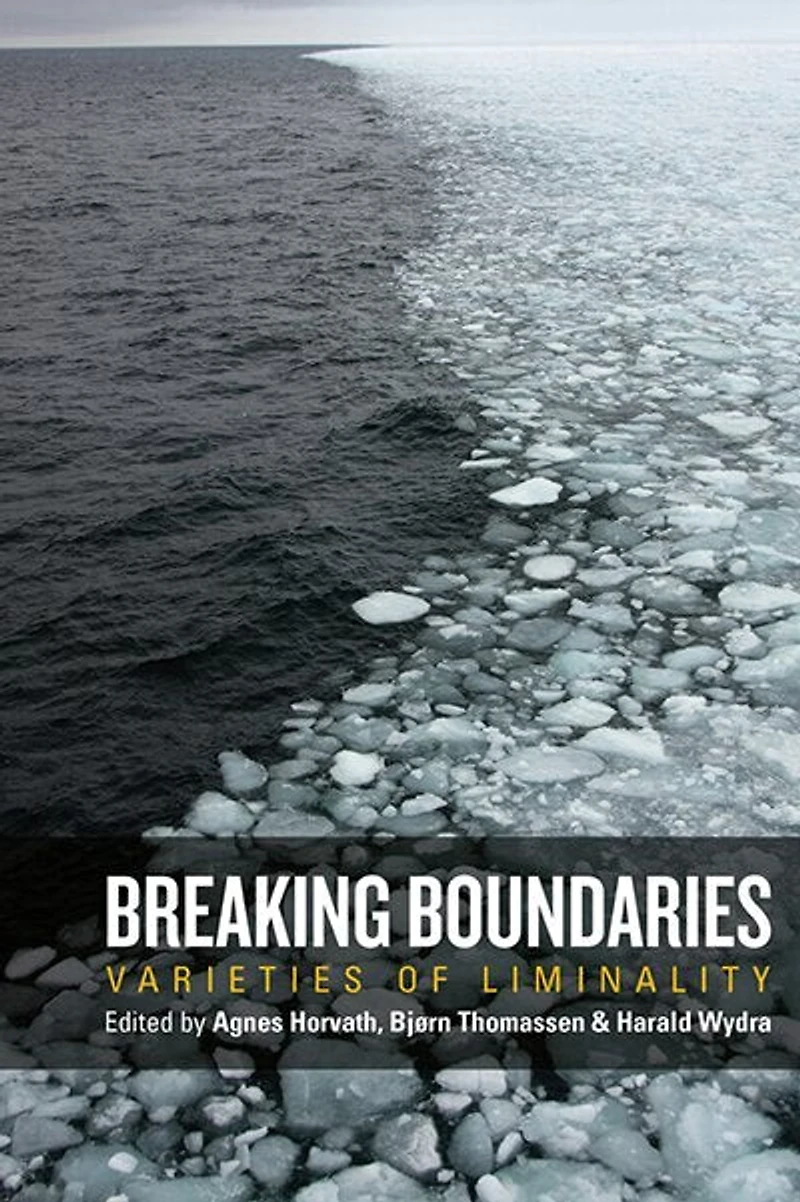 Breaking Boundaries: Varieties Of Liminality