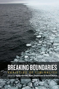 Breaking Boundaries: Varieties Of Liminality