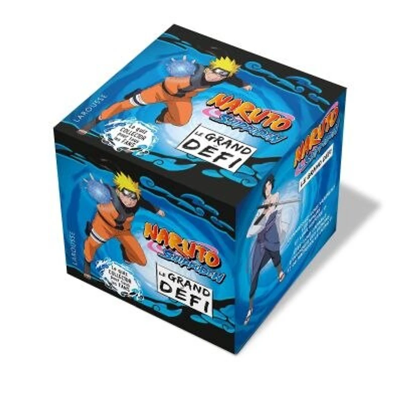 Naruto -le grand defi hokage
