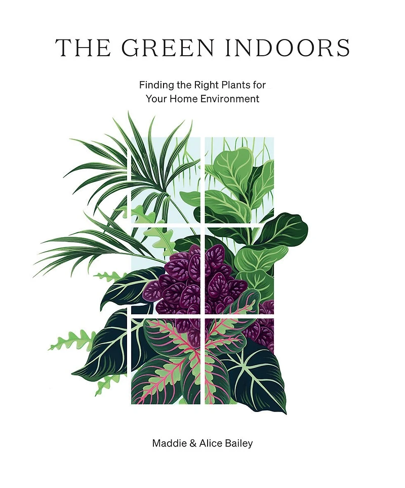 The Green Indoors: Finding Right Plants For Your Home Environment