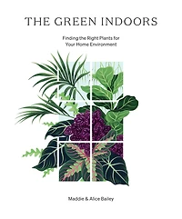 The Green Indoors: Finding Right Plants For Your Home Environment