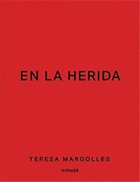 Teresa Margolles: En La Herida