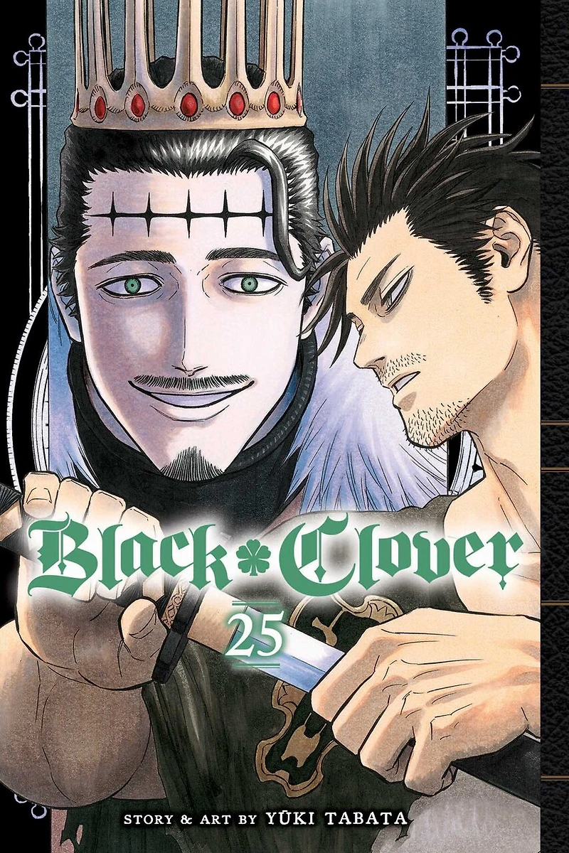 Black Clover, Vol. 25: Humans And Evil