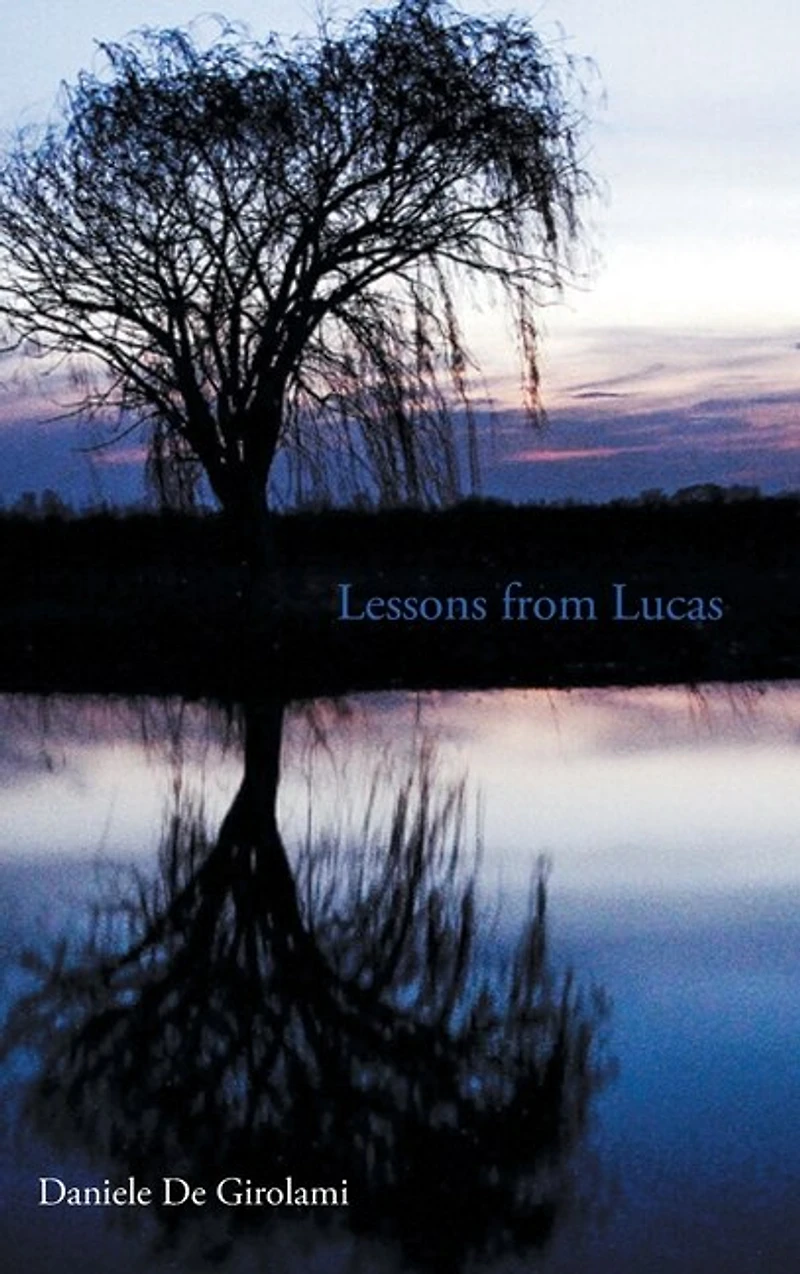 Lessons from Lucas