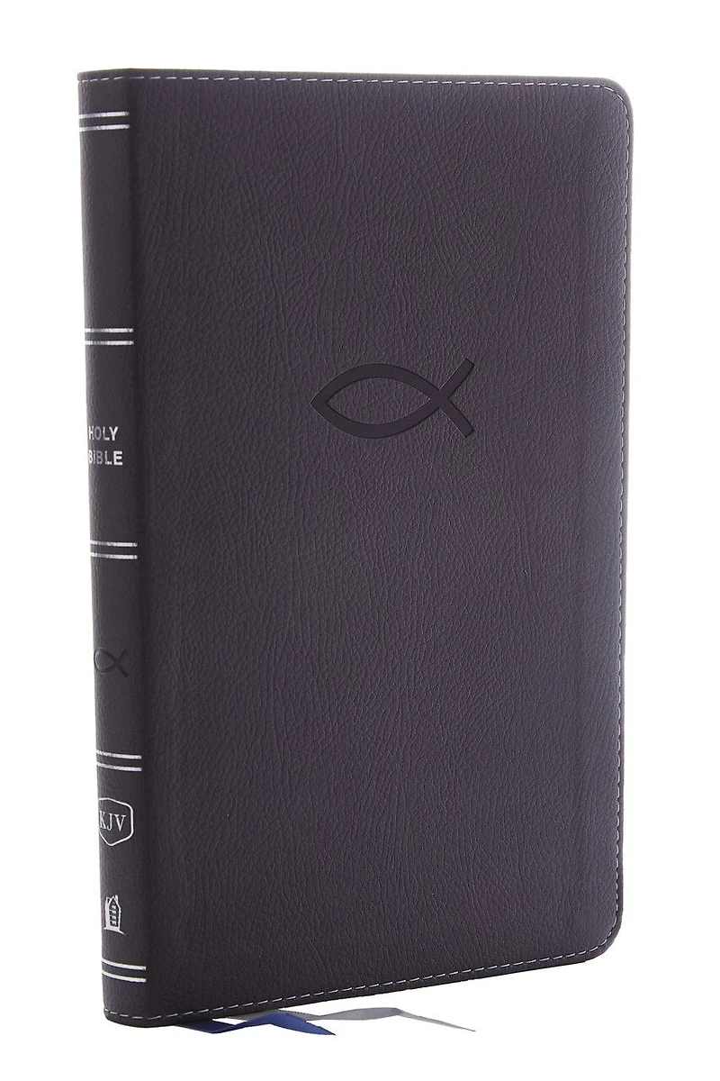 KJV Holy Bible: Thinline Youth Edition, Blue Leathersoft, Red Letter, Comfort Print: King James Version (Verse Art Cover Collection)