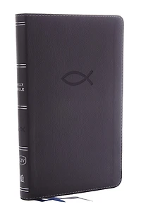 KJV Holy Bible: Thinline Youth Edition, Blue Leathersoft, Red Letter, Comfort Print: King James Version (Verse Art Cover Collection)