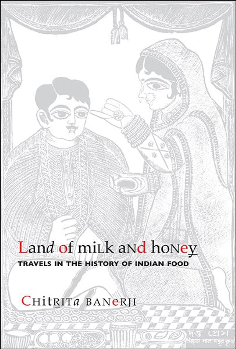 Land Of Milk And Honey: Travels in the History of Indian Food