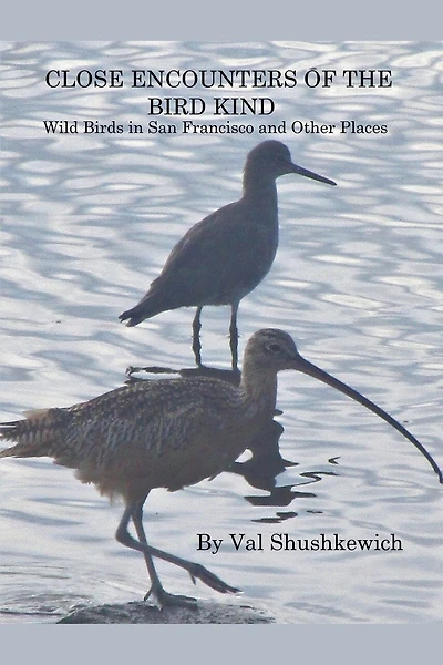 Close Encounters of the Bird Kind: Wild Birds in San Francisco and Other Places