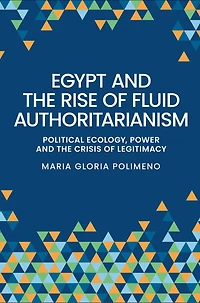 Egypt and the rise of fluid authoritarianism: Political ecology, power crisis legitimacy