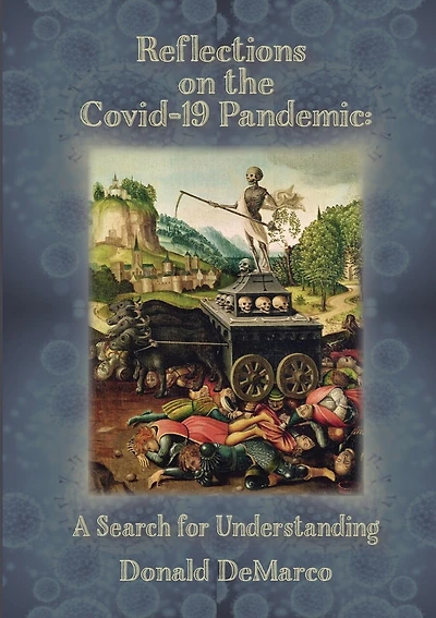 Reflections On The Covid-19 Pandemic: A Search For Understanding