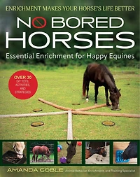 No Bored Horses: Essential Enrichment for Happy Equines