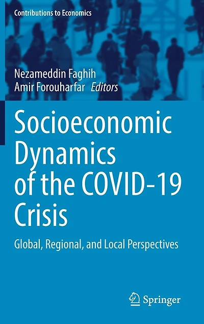 Socioeconomic Dynamics Of The Covid-19 Crisis: Global, Regional, And Local Perspectives