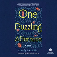One Puzzling Afternoon