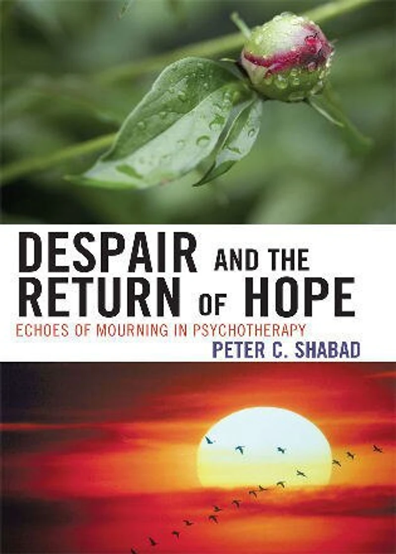 Despair and the Return of Hope: Echoes Mourning Psychotherapy