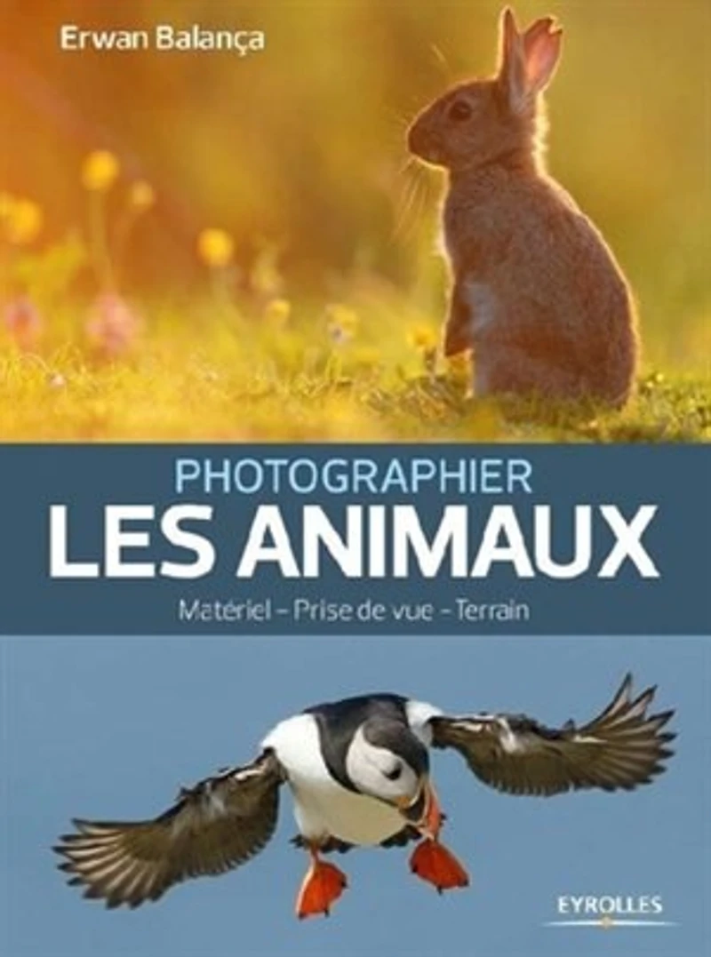 Les secrets de la photo d'animaux: matériel, prise vue, terrain