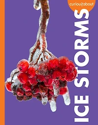 Curious about Ice Storms