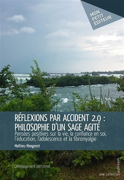 Réflexions par accident 2.0 : philosophie d'un sage agité: Pensées positives sur la vie, la confiance en soi, l'éducation, l'adolescence et la fibromyalgie