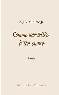 Comme Une Lettre À Ton Ombre: Carnets