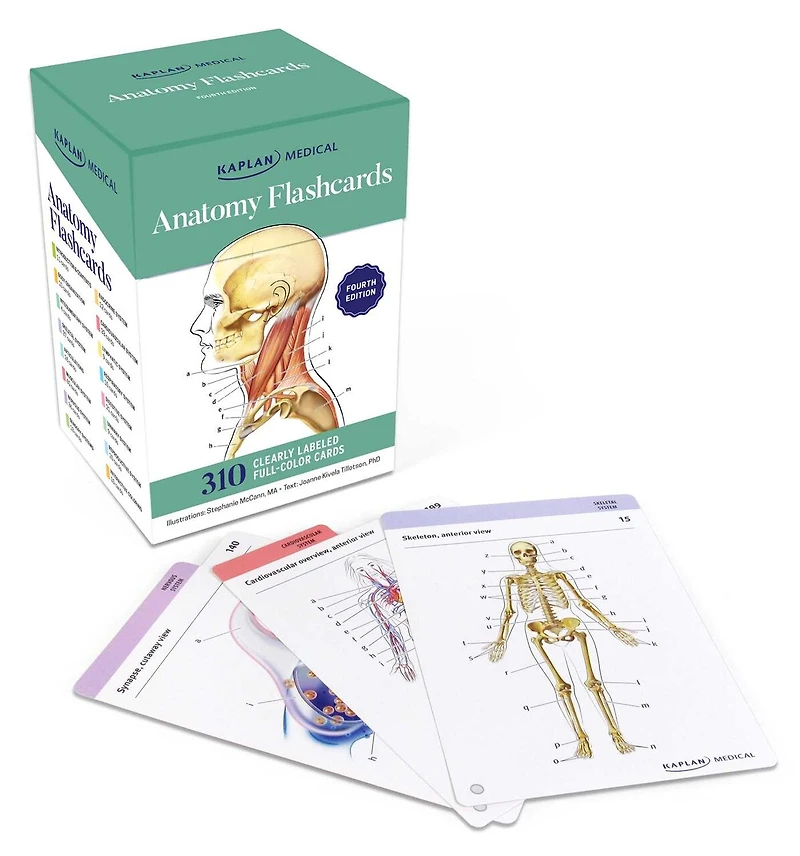Anatomy Flashcards: 300 Flashcards with Anatomically Precise Drawings and Exhaustive Descriptions