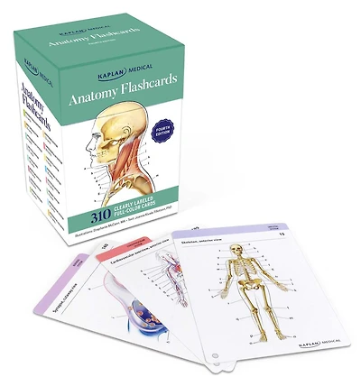 Anatomy Flashcards: 300 Flashcards with Anatomically Precise Drawings and Exhaustive Descriptions