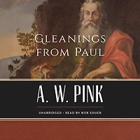 Gleanings from Paul