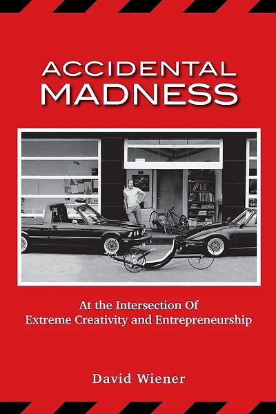 Accidental Madness: At The Intersection of Extreme Creativity and Entrepreneurship