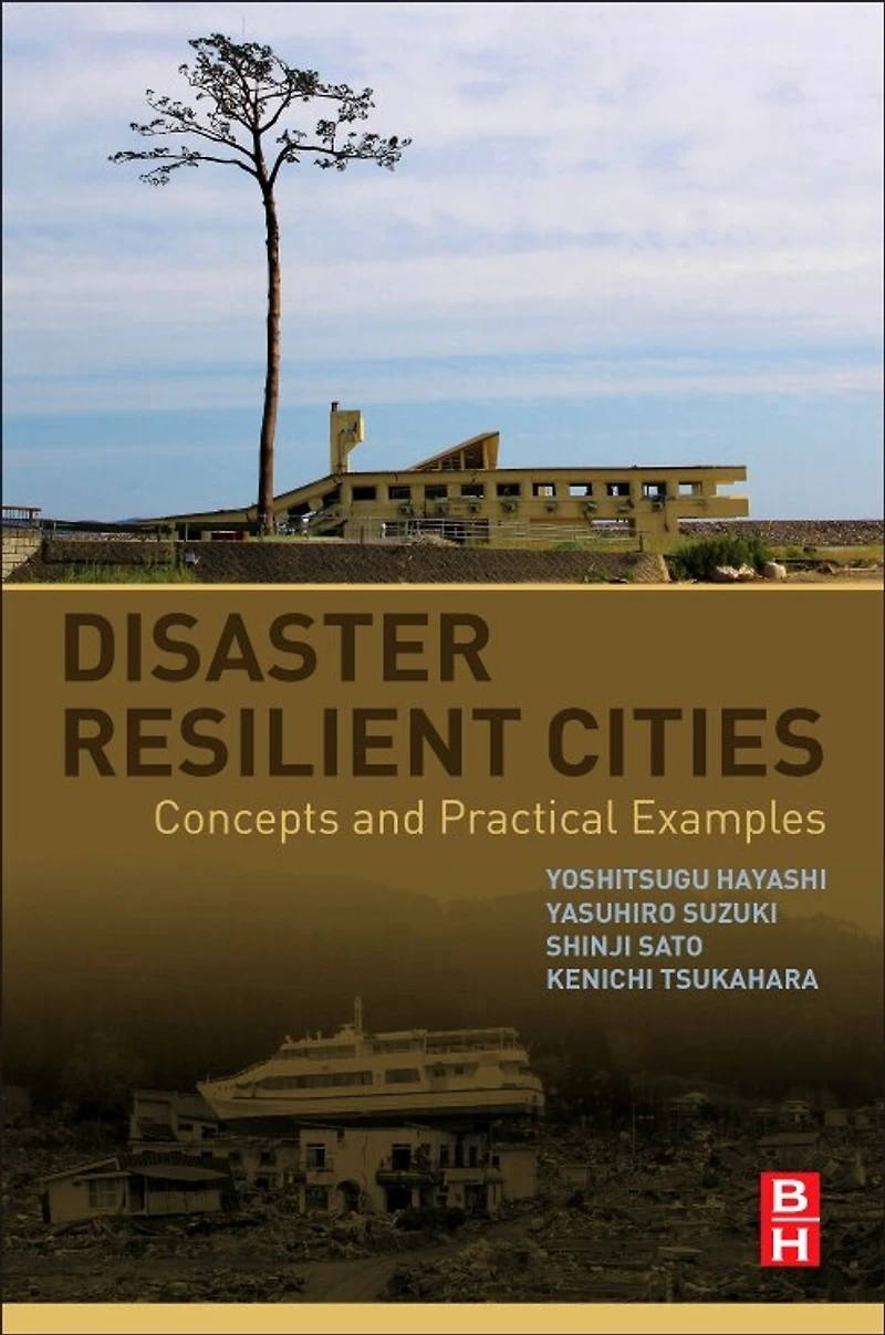 Disaster Resilient Cities: Concepts And Practical Examples