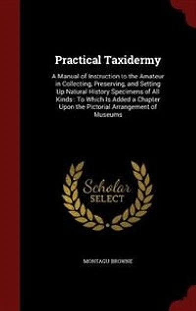 Practical Taxidermy: A Manual of Instruction to the Amateur in Collecting, Preserving, and Setting Up Natural History Sp