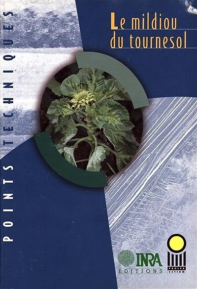 Le mildiou du tournesol